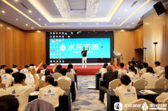 正在策略生成、客户察、资本智能安排等度供给